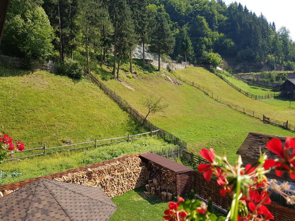 Casa Teodor Rucar Casa De Oaspeti Dış mekan fotoğraf